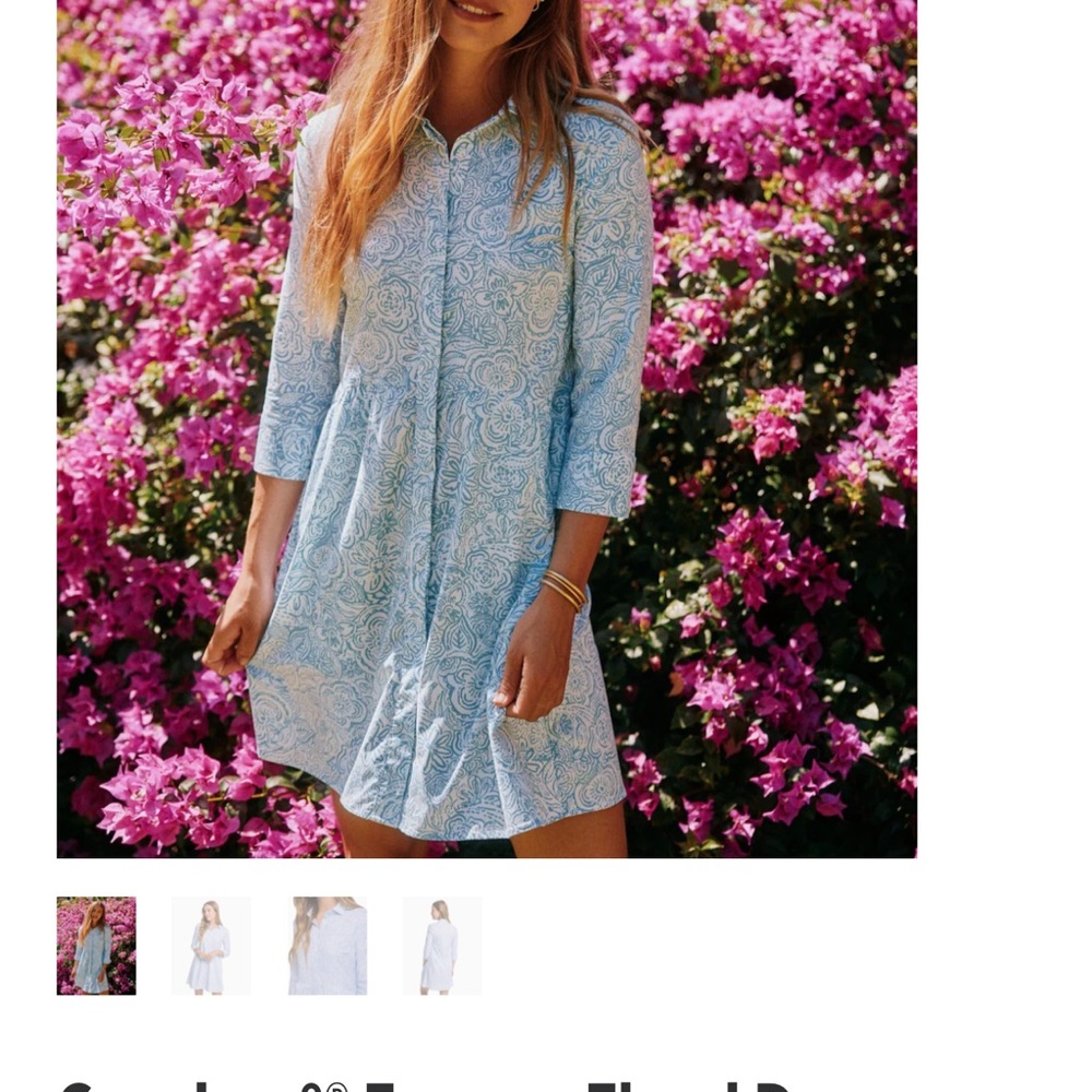 Southern tide Cara brr forever floral dress